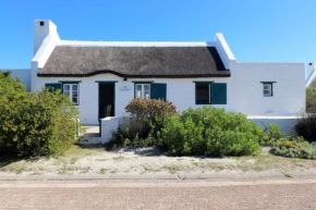 Nautilus In Langezandt Struisbaai